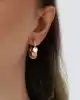 Pullu Shakira Altın Küpe