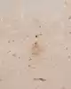 Taşlı Altın Harf Kolye Ucu