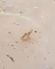 Taşlı Altın Harf Kolye Ucu