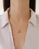 Taşlı Altın Nar kolye