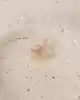 Taşlı Ay Yıldız Kolye Ucu