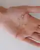 Taşlı Yıldız Dalgalı Zincir Küpe