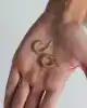 Üç Renk Mini Toplu Halka Küpe