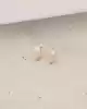 Yıldızlı Altın Çocuk Küpe