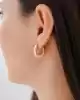 Bold Halka Altın Küpe