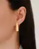 Bold Oval Halka Küpe