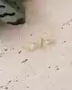 Taşlı Çocuk Küpe