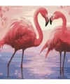 Aşık Flamingolar Sayılarla Boyama Seti Rulo ( Kasnaksızdır)