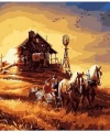 Başak Tarlası Sayılarla Boyama Seti Rulo ( Kasnaksızdır)