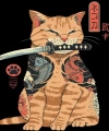 Savaşcı Kedi Sayılarla Boyama Seti Rulo Duvar Sticker