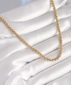 Shoecide 316l Çelik Gold Renk Burgu Zincir Model Kadın Kolye