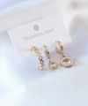 Shoecide 316l Çelik Gold Renk Daire Model Zirkon Taşlı Kadın Küpe