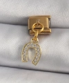 Shoecide 316l Çelik Gold Renk Sallantı Zirkon Taşlı Nal Model Nomination Charm
