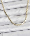 Shoecide 316l Çelik Zincir Gold Renk Ezme Zincir Model  45 Cm Kadın Kolye