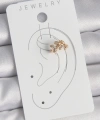 Shoecide Pirinç Gold Renk Zirkon Taşlı Yaprak Model Kadın Kıkırdak Küpe
