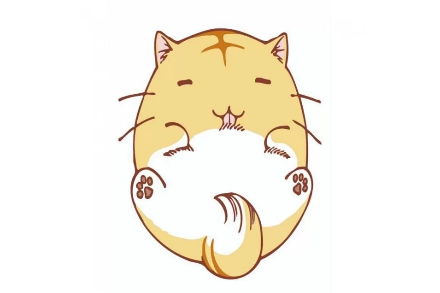 Keyifli Kedi Sayılarla Boyama Seti Rulo ( Kasnaksızdır)