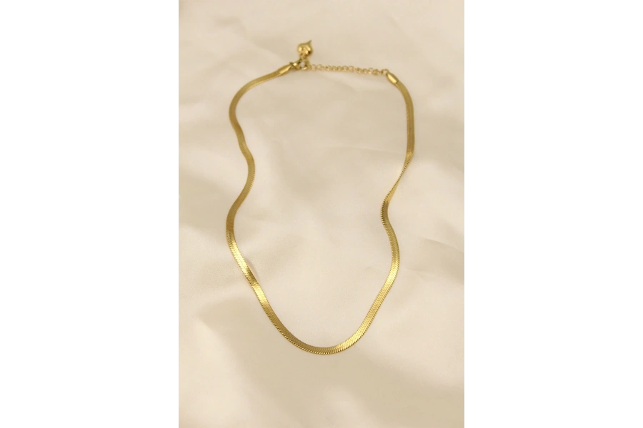 Shoecide 316l Çelik Altın Renk 45 Cm İtalyan Zincir Model Kadın Kolye