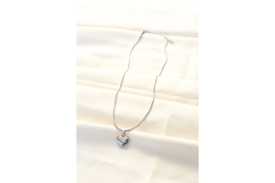 Shoecide 316l Çelik Gümüş Renk Kalp Kolye