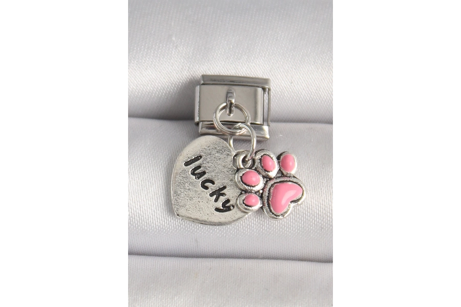 Shoecide 316l Çelik Gümüş Renk Pembe Pati lucky İşlemeli Kalp Model Nomination Charm