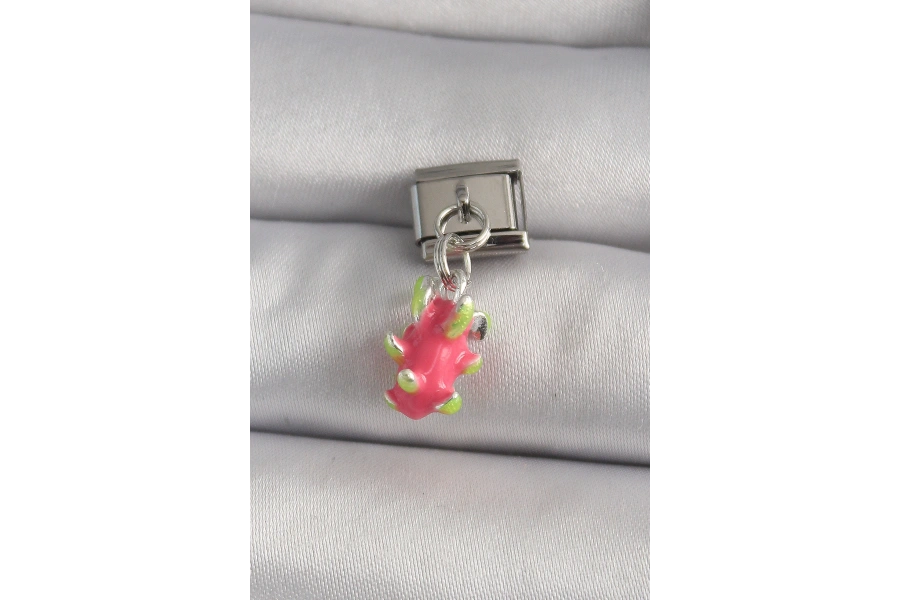 Shoecide 316l Çelik Gümüş Renk Sallantı Ejder Meyvesi Model Nomination Charm