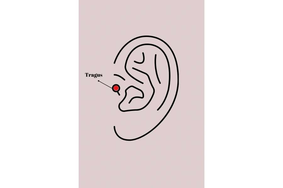 Shoecide 316l Çelik Gümüş Renk Zirkon Taşlı Kalp Model Tragus Piercing