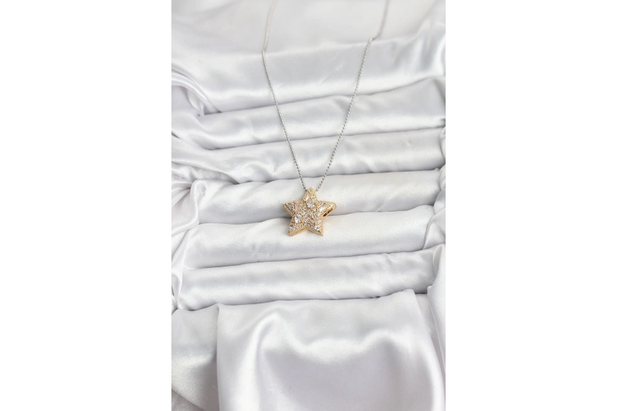 Shoecide 316l Çelik Zincir Gümüş Renk Zincirli Gold Yıldız Model Kadın Kolye