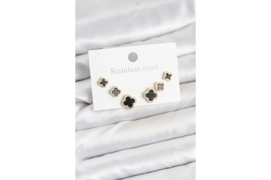 Shoecide 316l Çelik Zirkon Taşlı Yonca Model Kadın Küpe Seti