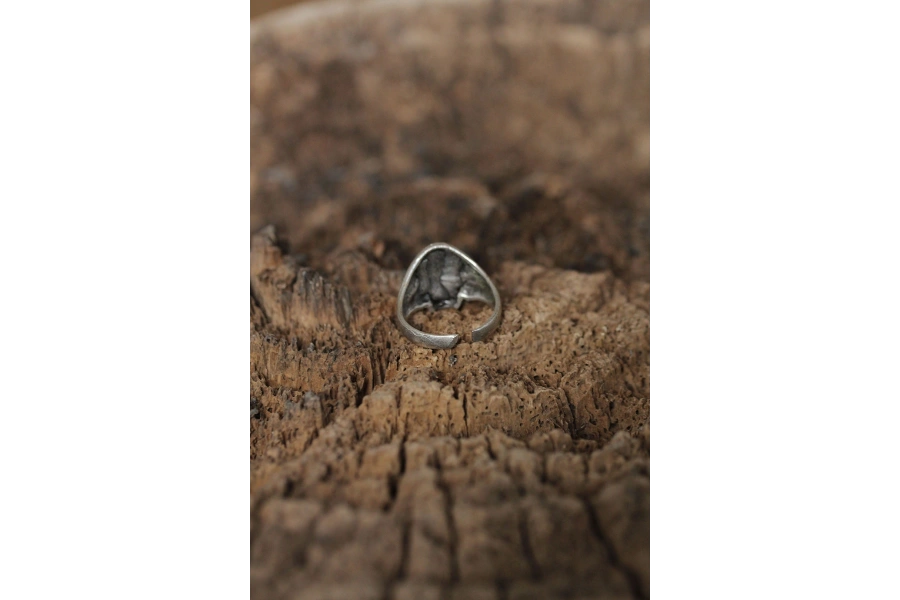 Shoecide Ayarlanabilir Motifli Kuru Kafa Tasarımlı Erkek Yüzük