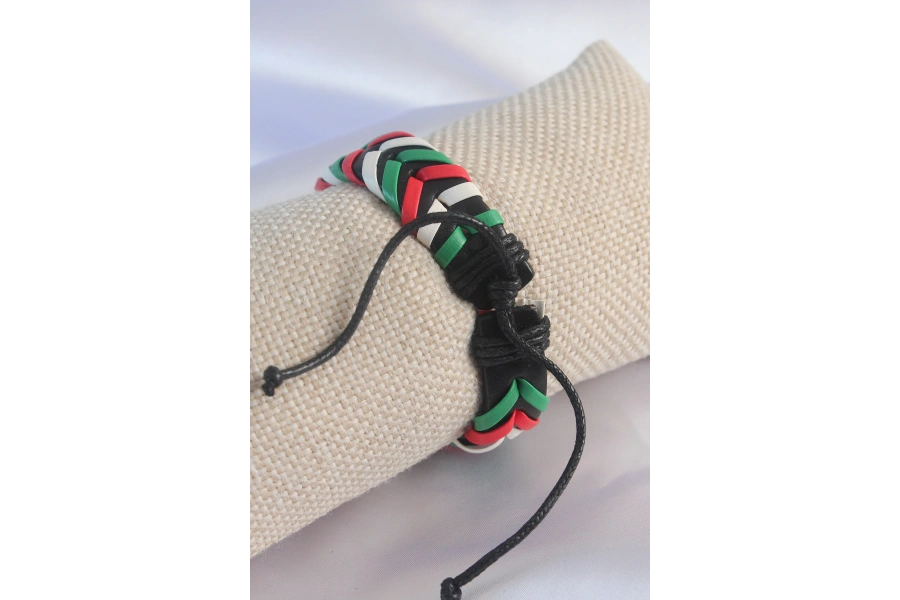 Shoecide Karışık Renk İpli Deri Erkek Bileklik