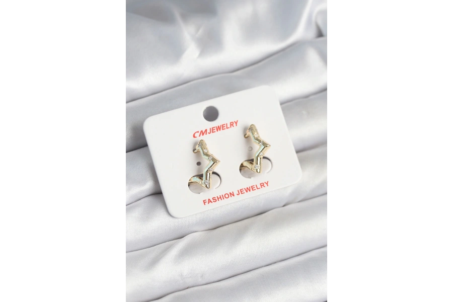 Shoecide Pirinç Gold Renk Yıldız Model Kadın Küpe
