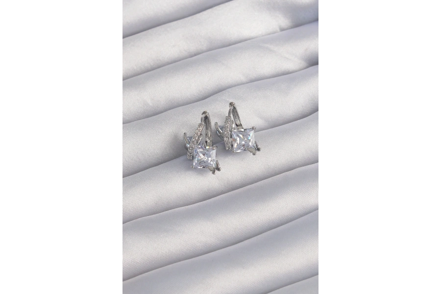 Shoecide Pirinç Gümüş Renk İri Zirkon Taşlı Kıvrımlı Minimal Kelebekli Halka Küpe