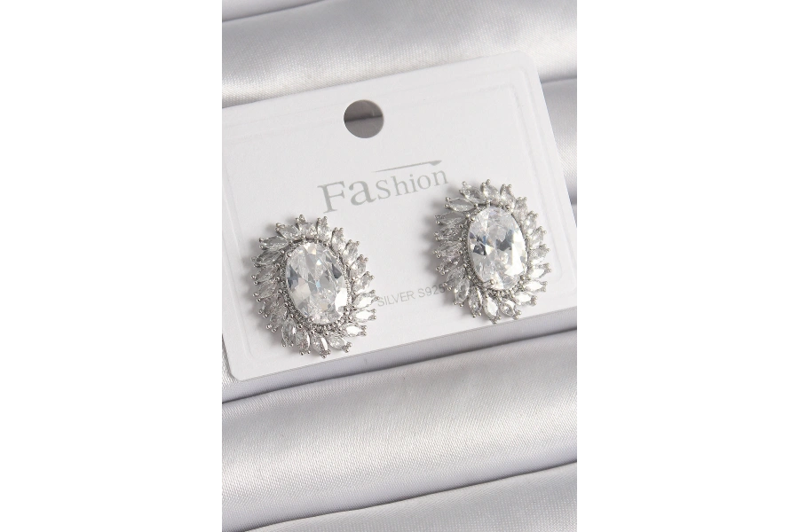 Shoecide Pirinç Gümüş Renk Zirkon Taşlı Kadın Küpe