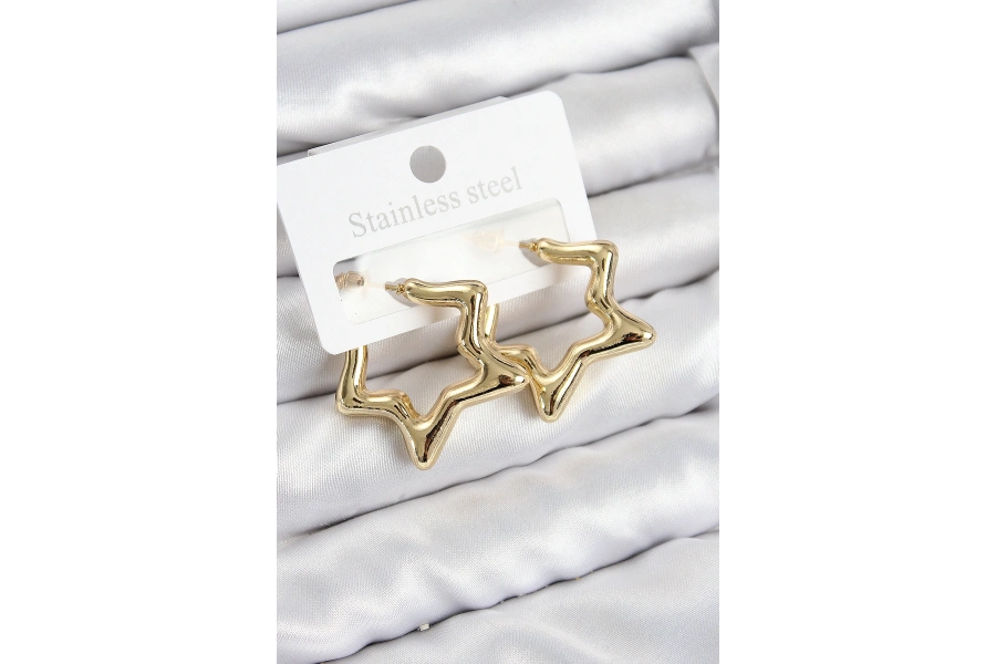 Shoecide Pirinç Yıldız Model Gold Renk Kadın Küpe