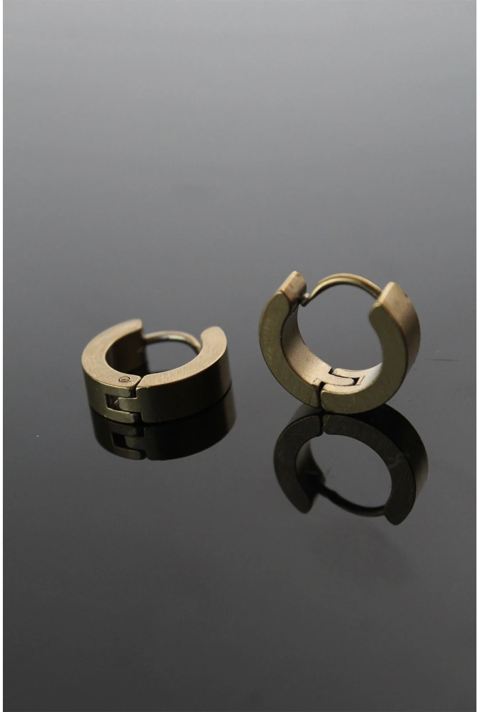 Shoecide 316l Çelik Gold Renk Halka Model Çift Küpe