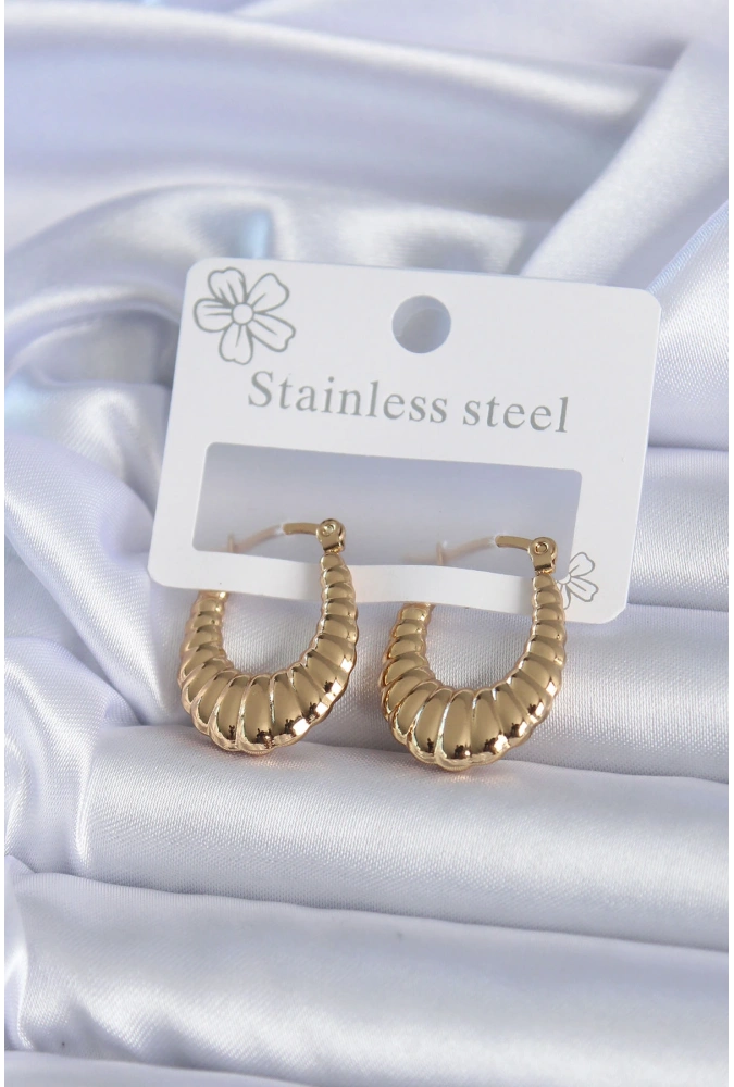 Shoecide 316l Çelik Gold Renk İşlemeli Halka Model Kadın Küpe