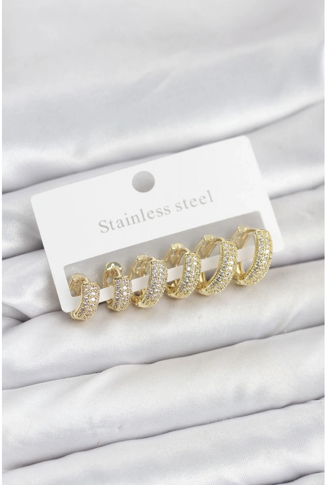 Shoecide 316l Çelik Gold Renk Zirkon Taşlı Halka Küpe Seti