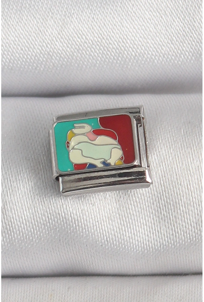 Shoecide 316l Çelik Gümüş Renk Renkli Portre Model Nomination Charm