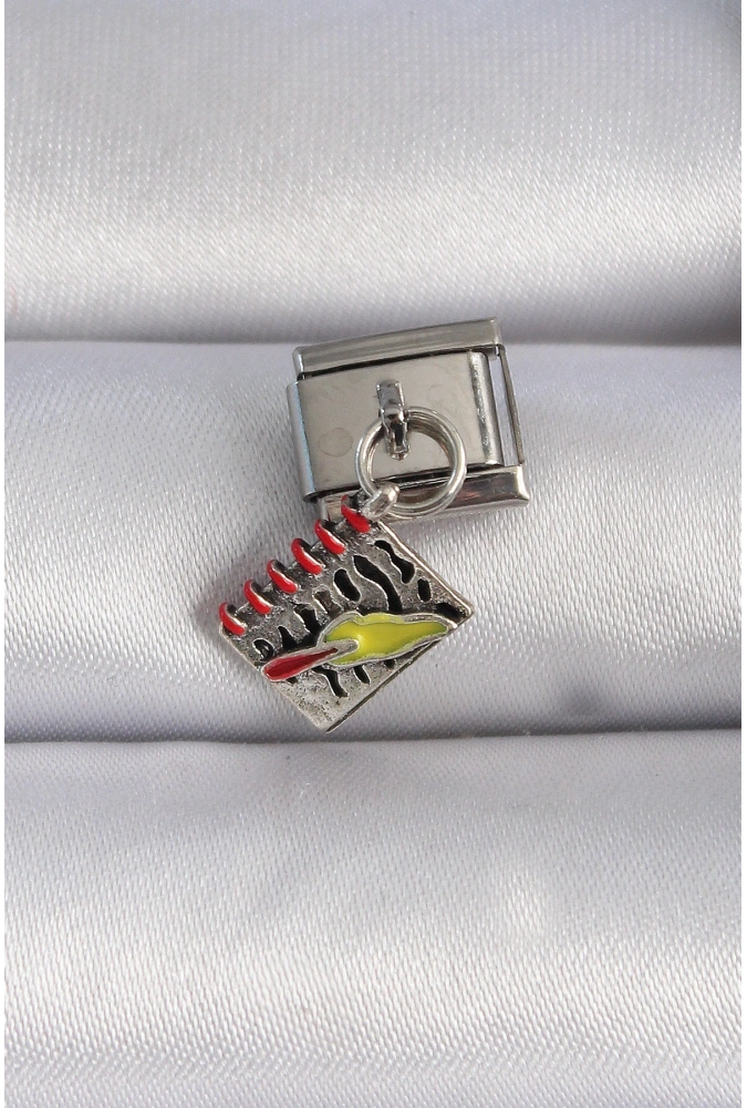 Shoecide 316l Çelik Gümüş Renk Sallantı Defter Figür Nomination Charm