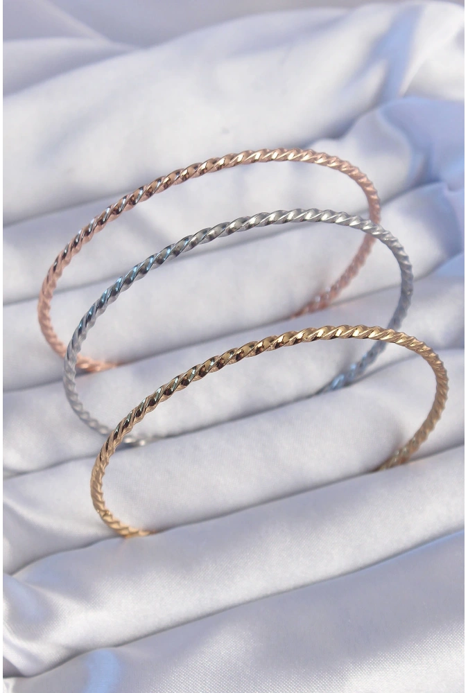 Shoecide 316l Çelik Renkli İnce Burgu Model Ajda Bilezik Seti