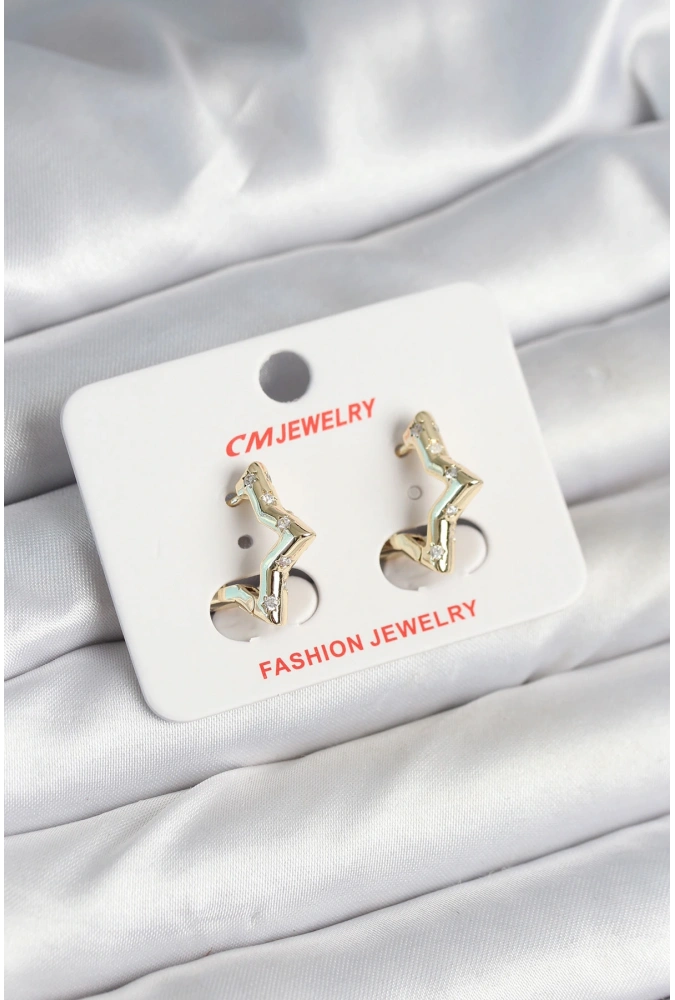 Shoecide Pirinç Gold Renk Yıldız Model Kadın Küpe