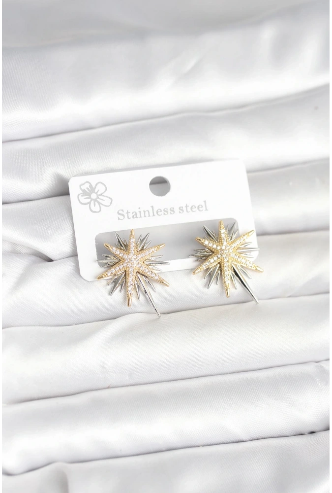 Shoecide Pirinç Gümüş Renk Kutup Yıldızı Kadın Küpe