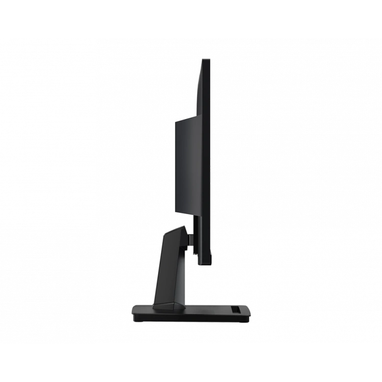 21.5 MSI PRO MP225 IPS FHD 1MS 100HZ HDMI D-SUB