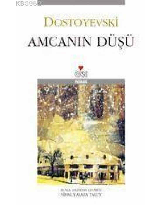 Amcanın Düşü