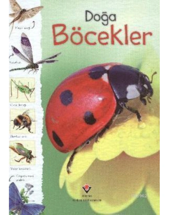 Doğa - Böcekler