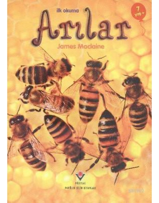 İlk Okuma - Arılar
