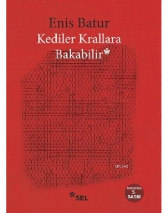 Kediler Krallara Bakabilir