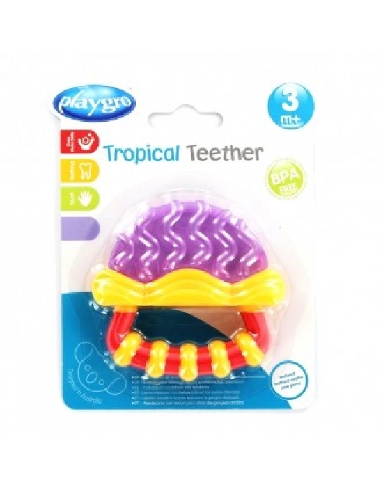 Playgro Sulu Meyve Dişlik