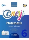 PALME YAYINEVİ 6.SINIF MATEMATİK SORU KİTABI