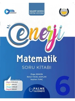 PALME YAYINEVİ 6.SINIF MATEMATİK SORU KİTABI