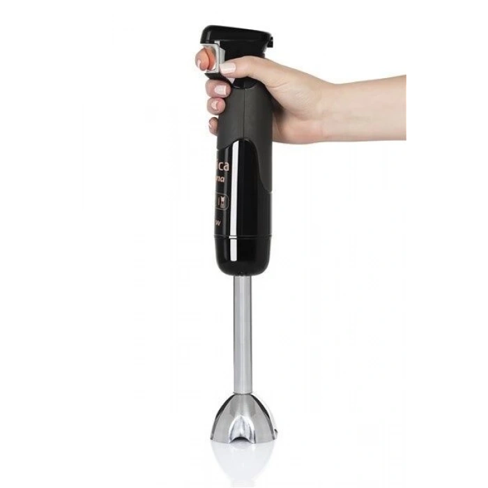 ARNICA Panna El Blender Seti